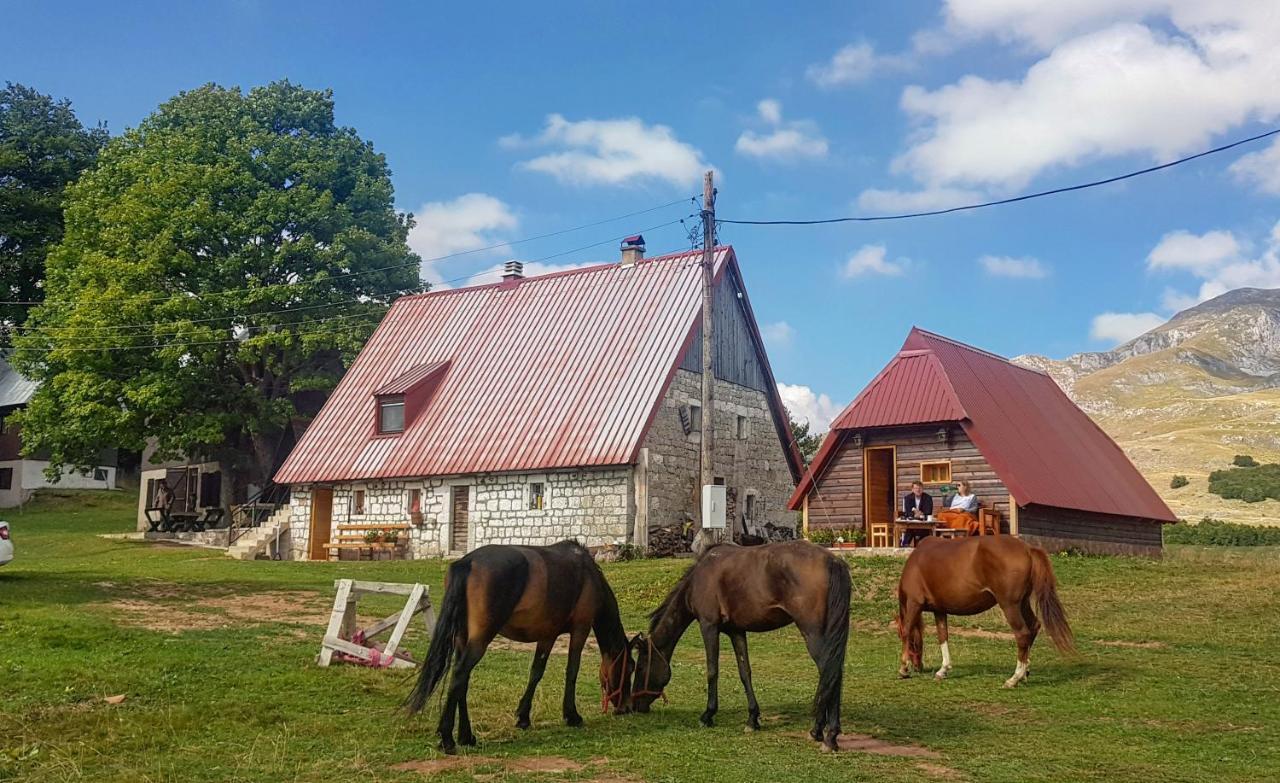 Etno Selo Smrcevo Brdo Lejlighed Žabljak Eksteriør billede